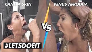 Canela Skin Vs Venus Afrodita - Whos The Superlatively Good?