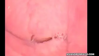 Japan Salacious Gal Rika Kawamura Exciting Clip